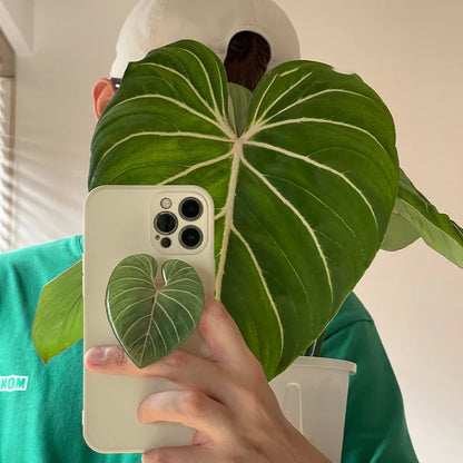 Glossy Leaf Phone Grip